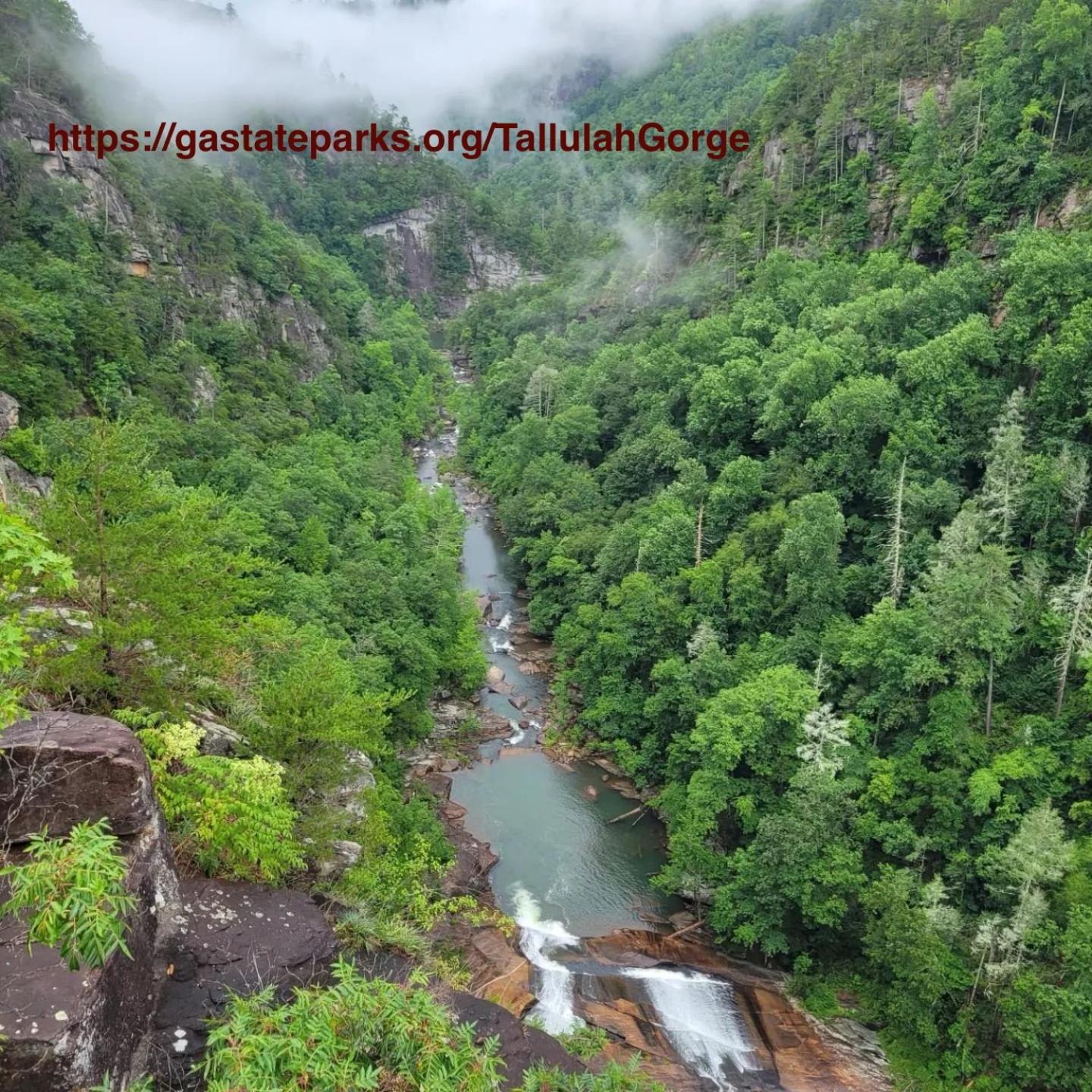 Mountain Valley Inn Діллард Екстер'єр фото